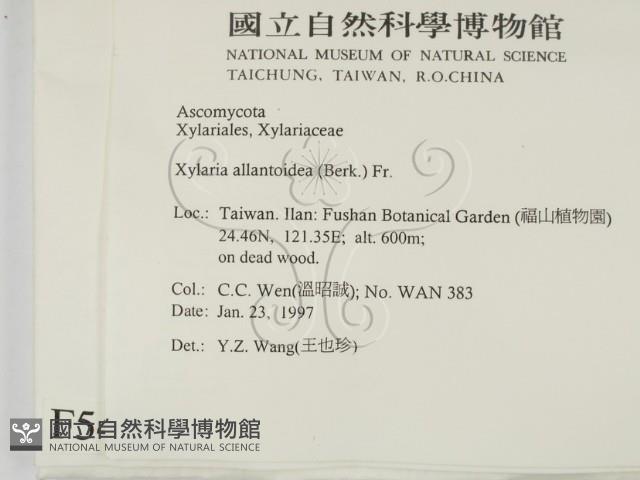 登錄號:F0005406藏品圖，第2張