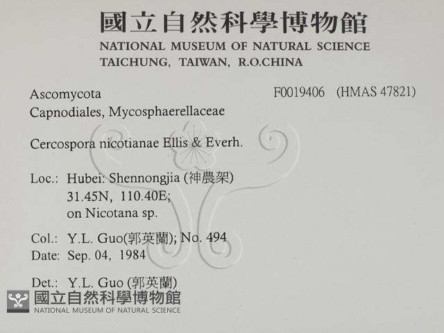 登錄號:F0019406藏品圖，第2張
