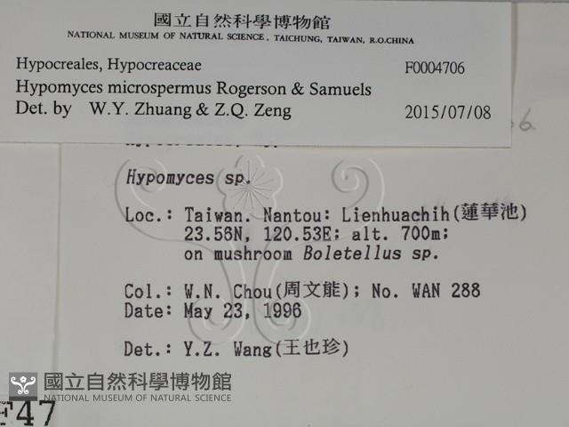 登錄號:F0004706藏品圖，第2張