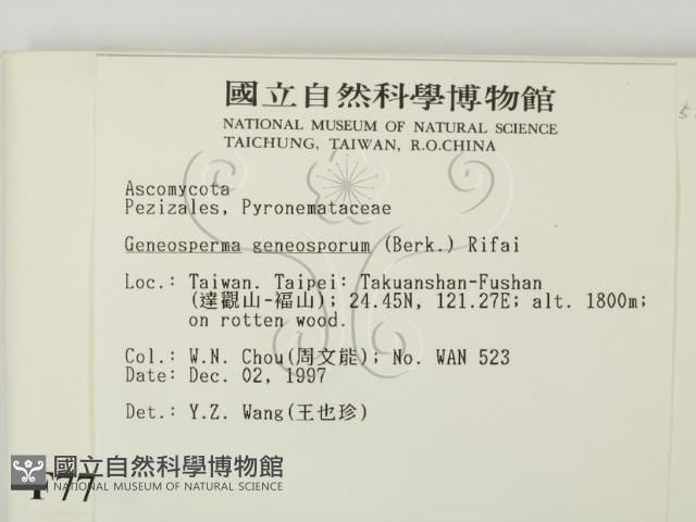 登錄號:F0007706藏品圖，第2張