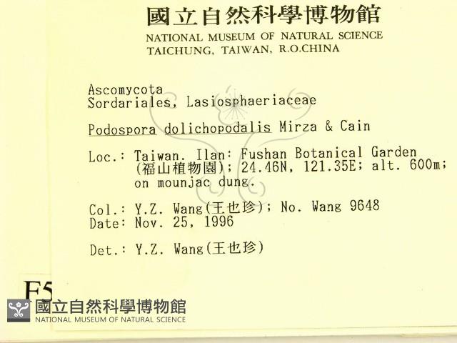 登錄號:F0005706藏品圖，第2張