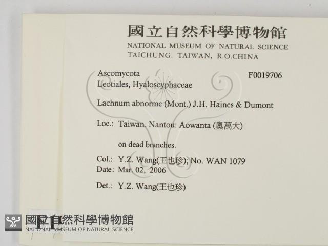 登錄號:F0019706藏品圖，第2張