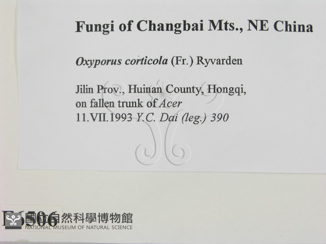 登錄號:F0006506藏品圖，第2張