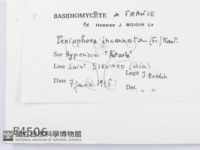 登錄號:F0004506藏品圖，第2張