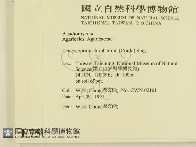 登錄號:F0007506藏品圖，第2張