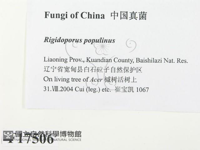 登錄號:F0017506藏品圖，第2張