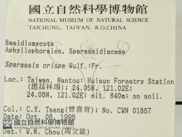 登錄號:F0005506藏品圖，第2張