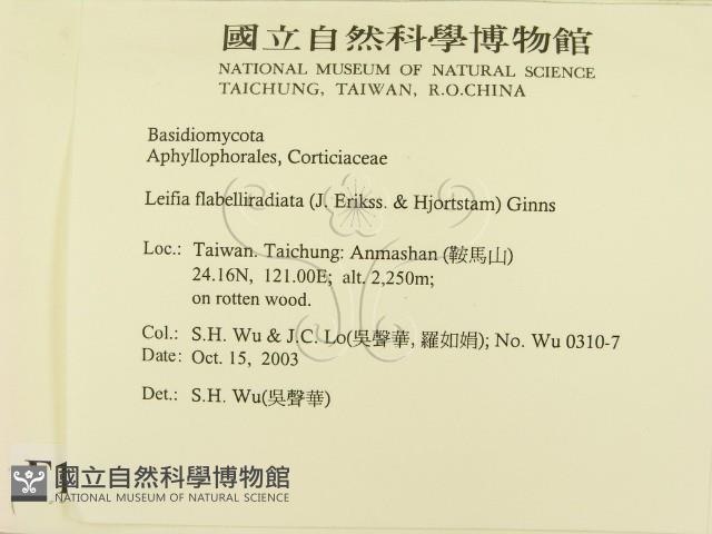 登錄號:F0015506藏品圖，第2張