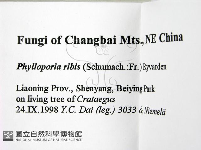 登錄號:F0009506藏品圖，第2張