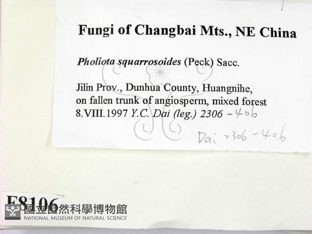 登錄號:F0008106藏品圖，第2張