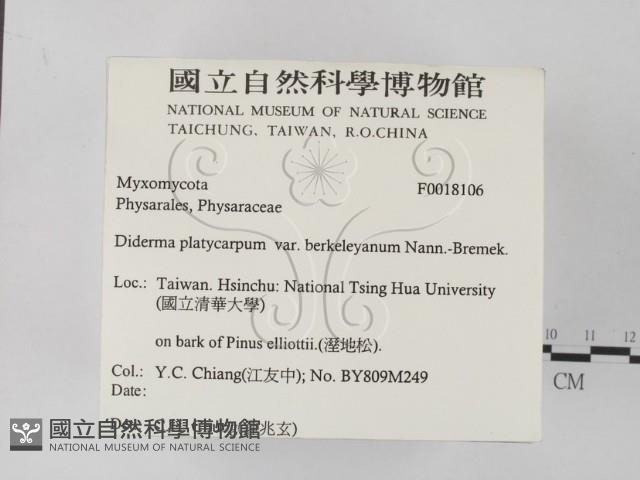 登錄號:F0018106藏品圖，第2張