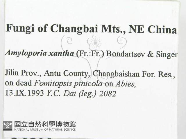 登錄號:F0006106藏品圖，第2張