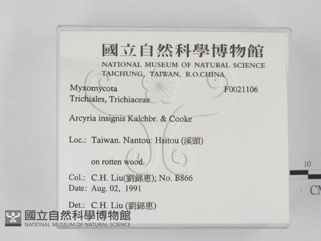 登錄號:F0021106藏品圖，第2張