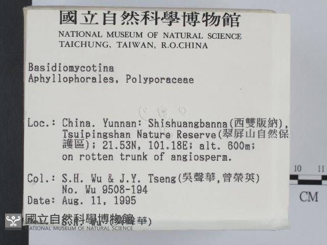 登錄號:F0004106藏品圖，第2張