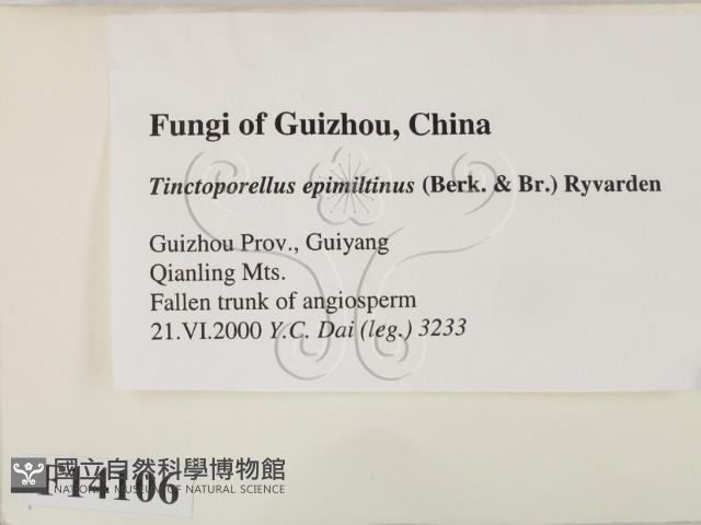 登錄號:F0014106藏品圖，第2張