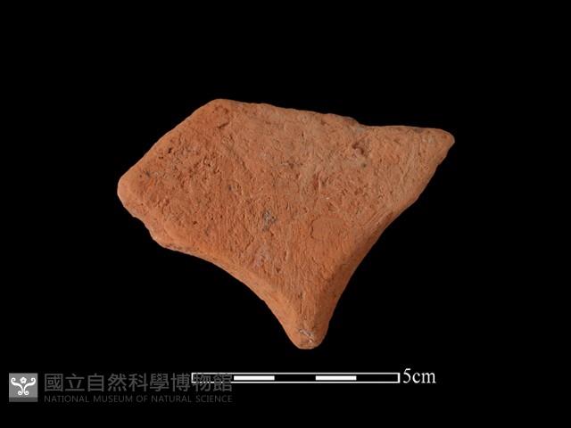 連杯形器藏品圖，第2張