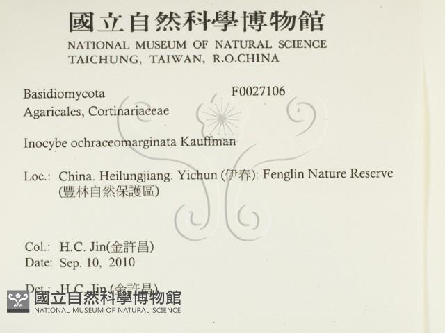 登錄號:F0027106藏品圖，第2張