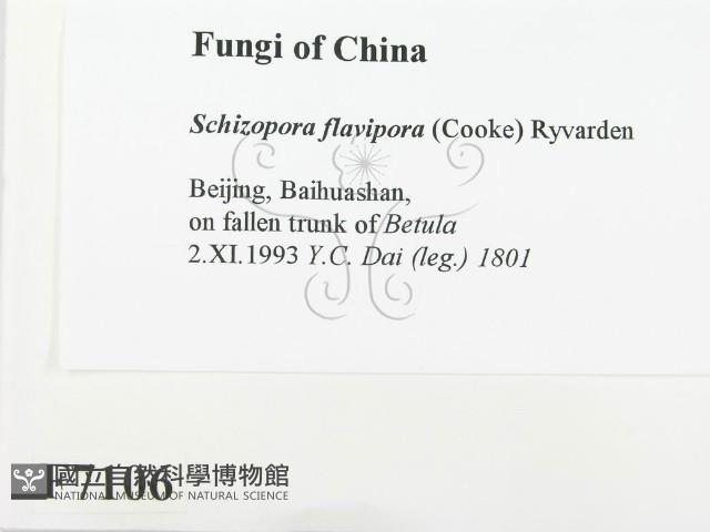 登錄號:F0007106藏品圖，第2張