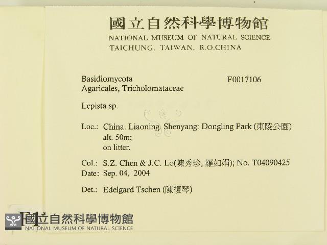 登錄號:F0017106藏品圖，第2張