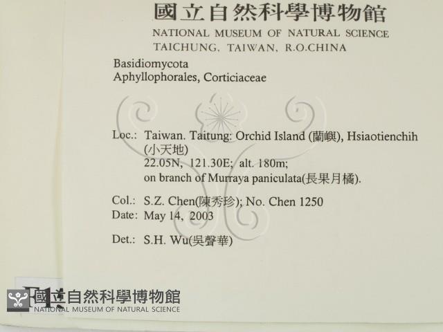 登錄號:F0015106藏品圖，第2張