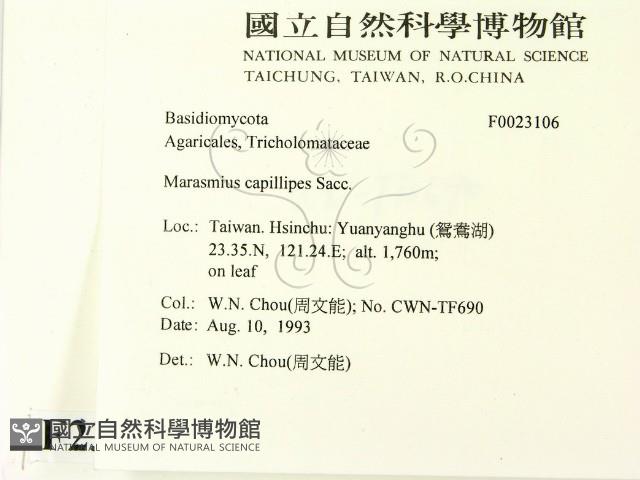 登錄號:F0023106藏品圖，第2張