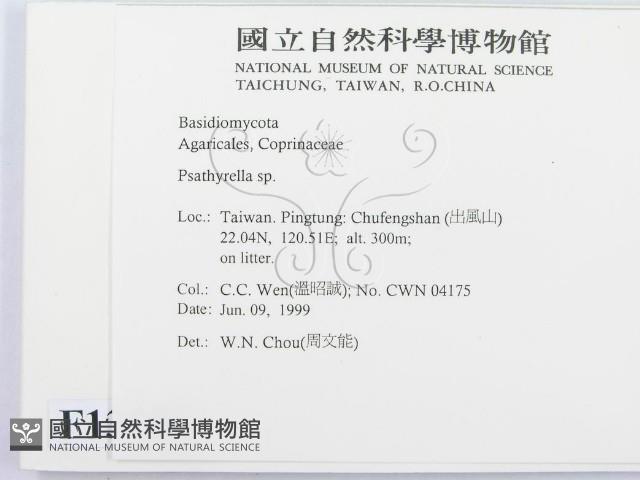 登錄號:F0013106藏品圖，第2張