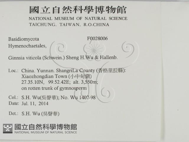 登錄號:F0028006藏品圖，第2張