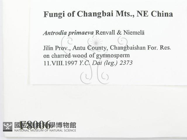 登錄號:F0008006藏品圖，第2張