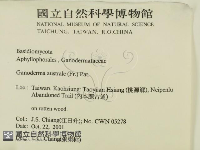 登錄號:F0016006藏品圖，第2張