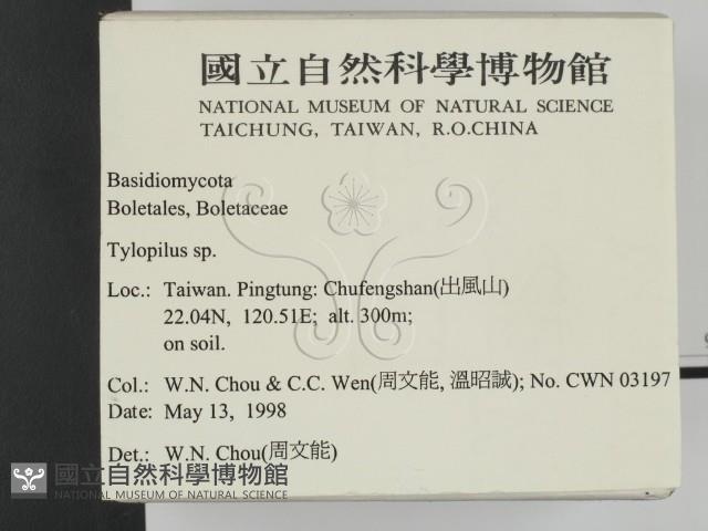 登錄號:F0011006藏品圖，第2張