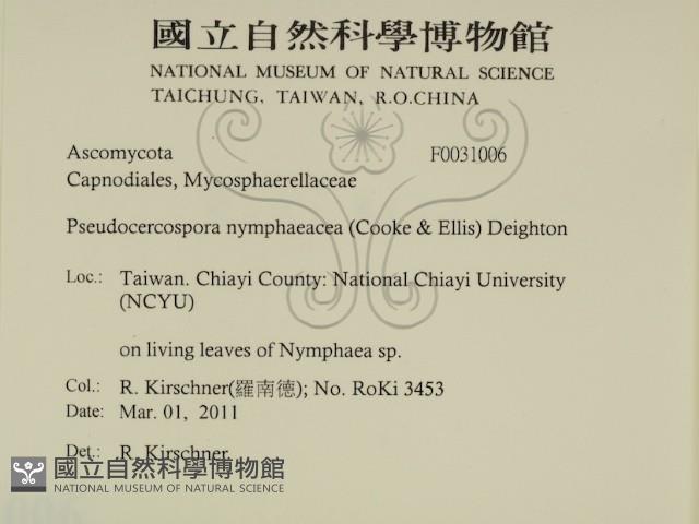 登錄號:F0031006藏品圖，第2張