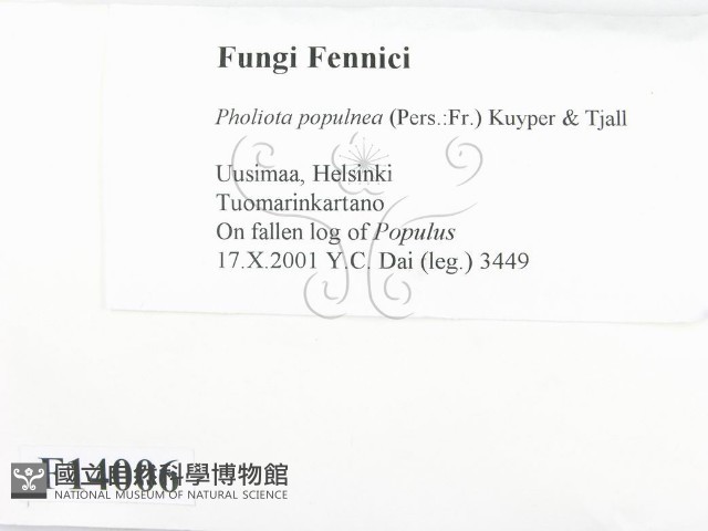 登錄號:F0014006藏品圖，第2張