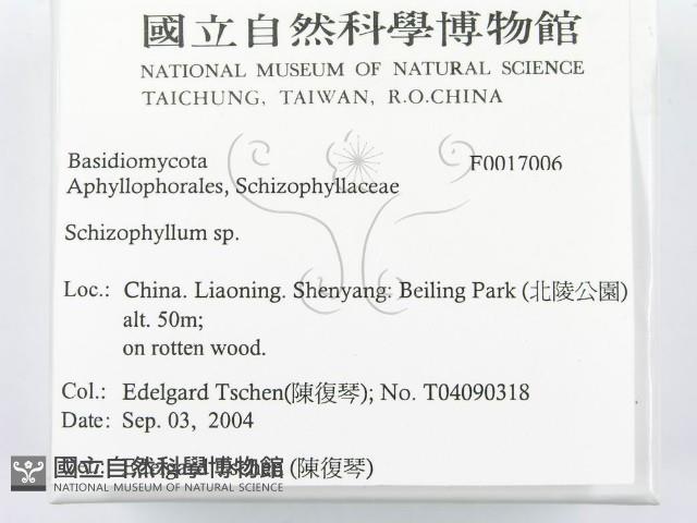 登錄號:F0017006藏品圖，第2張