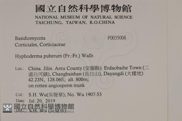 登錄號:F0035006藏品圖，第2張