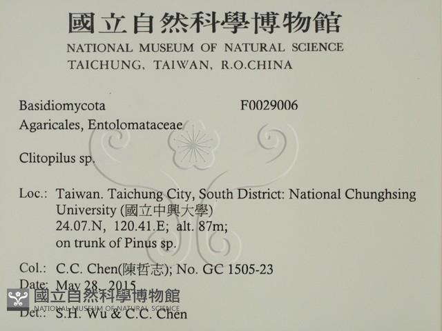 登錄號:F0029006藏品圖，第2張