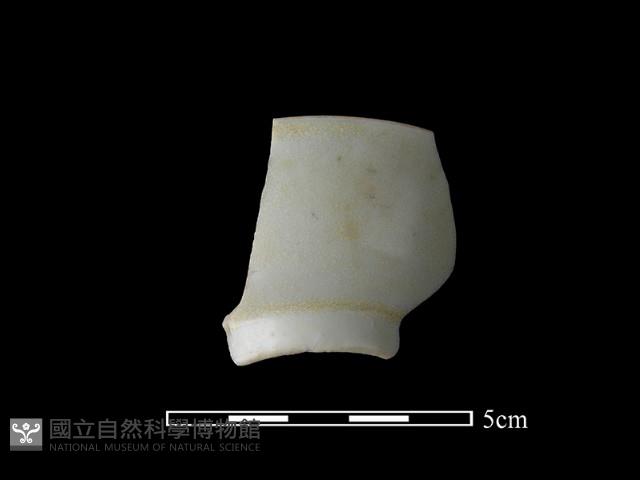 瓷杯藏品圖，第1張