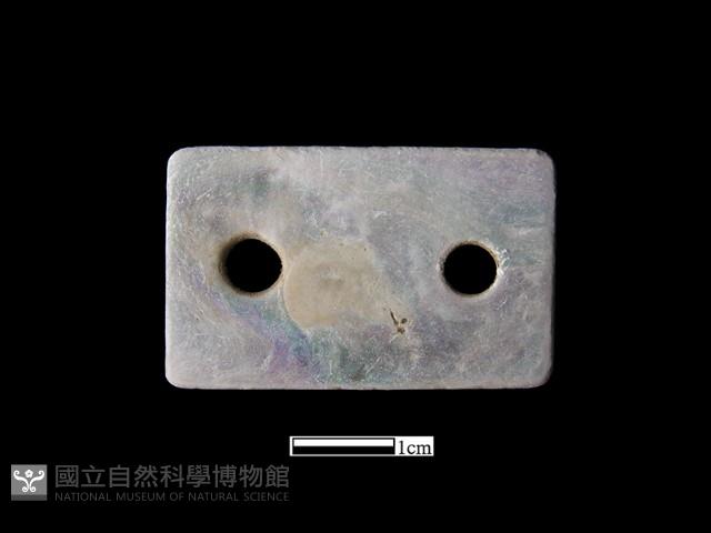 貝飾藏品圖，第2張