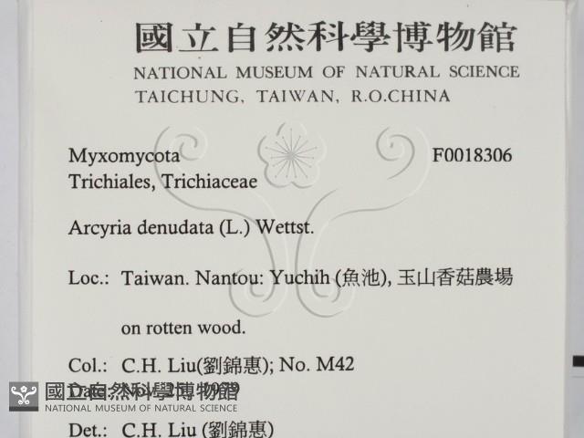 登錄號:F0018306藏品圖，第2張