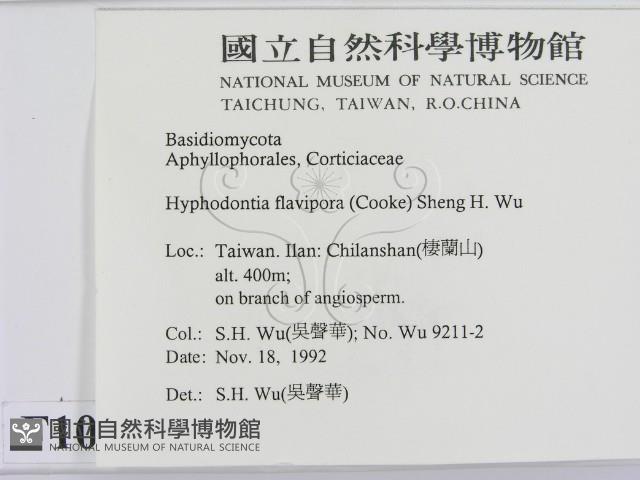 登錄號:F0010306藏品圖，第2張