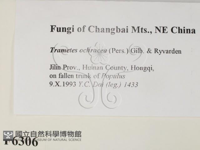 登錄號:F0006306藏品圖，第2張