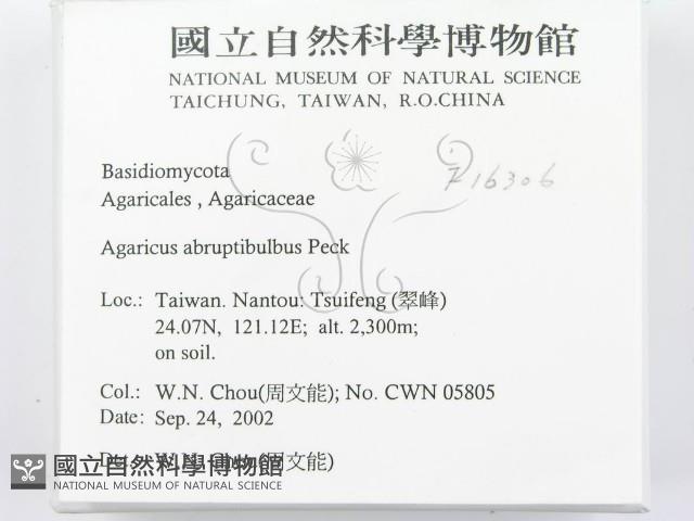 登錄號:F0016306藏品圖，第2張