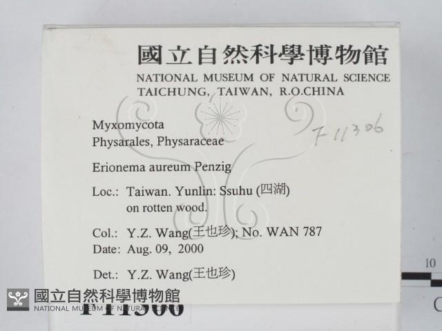 登錄號:F0011306藏品圖，第2張