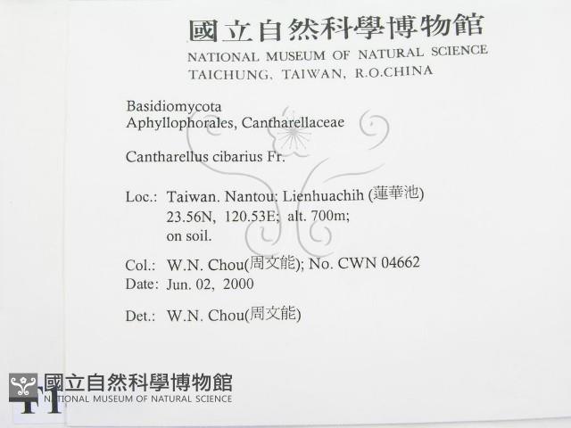 登錄號:F0014306藏品圖，第2張