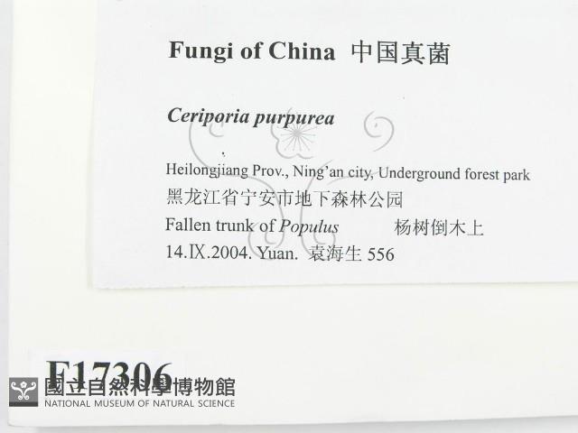 登錄號:F0017306藏品圖，第2張