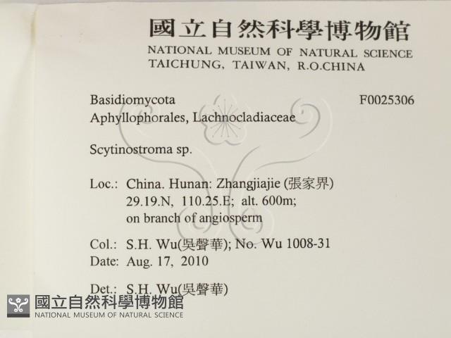 登錄號:F0025306藏品圖，第2張