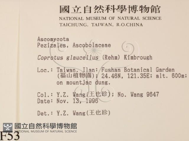 登錄號:F0005306藏品圖，第2張