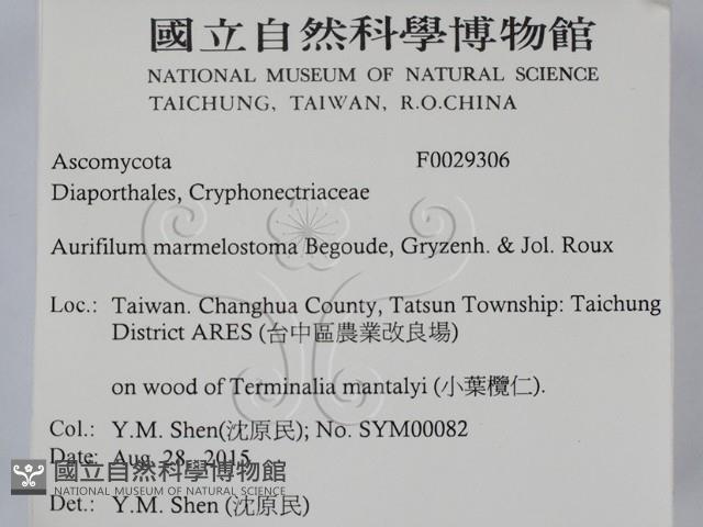 登錄號:F0029306藏品圖，第2張