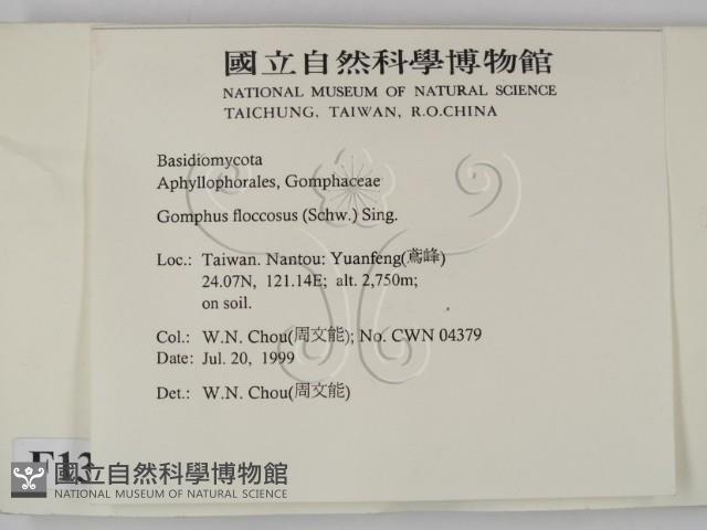 登錄號:F0013306藏品圖，第2張
