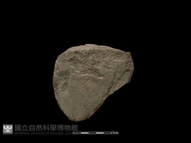 磨製斧鋤形器藏品圖，第1張