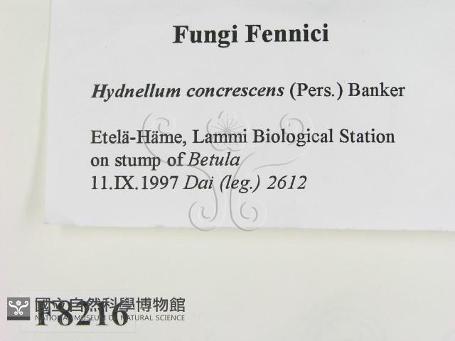 登錄號:F0008216藏品圖，第2張